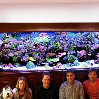 Andrew's Journey in Reefkeeping